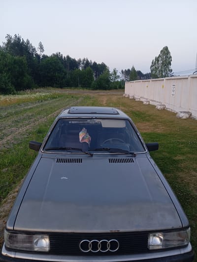 The image shows the front view of a grey Audi car parked on a grassy area next to a dirt track. A mature forest borders the track on the left side. In the background, a tall, light-colored concrete wall stretches across the scene, topped with barbed wire. Trees are visible beyond the wall. The sky is overcast, suggesting it is either early morning or late evening. A colorful cloth is hanging from the rearview mirror inside the car. The Audi's four-ring emblem is clearly visible on the front grille. There are some signs on the wall in the background, but the text is illegible. The overall impression is a quiet, rural setting.