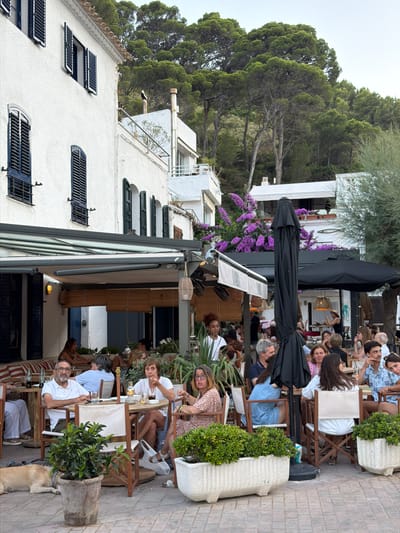 The image depicts an outdoor seating area of a restaurant, likely in Begur, Spain, given the architectural style and vegetation. The restaurant features white stucco buildings with dark-shuttered windows and a covered patio area. Several groups of people are seated at wooden tables, some dining and others conversing. A large black umbrella stands prominently in the center of the scene. Lush green plants and purple flowering vines adorn the outdoor space, with a hillside covered in trees in the background. A dog is visible lying on the ground in the foreground. The overall atmosphere appears relaxed and convivial, suggesting a casual dining experience.