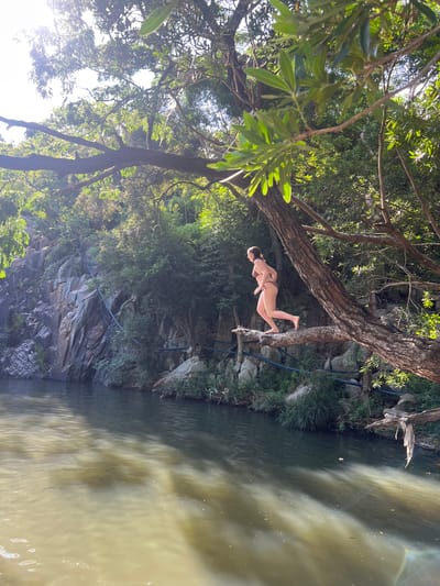 A young woman in a brown bikini is captured mid-stride, running along a thick, rough-barked tree branch that extends over a body of water. She is positioned on the right side of the frame, facing left. The branch she is on dips downwards towards the water, and her body is angled as if preparing to jump or is in the process of running.
The environment is lush and natural. To the left of the frame, a steep, rocky cliff face is visible, covered in patches of green vegetation and crisscrossed with dark, horizontal lines that appear to be ropes or cables. Dense green foliage and trees fill the background, with sunlight filtering through the leaves, creating bright spots and shadows. The water itself is murky and appears to be a mixture of greenish and yellowish tones, with ripples on its surface indicating movement. A few small white specks are scattered across the water's surface, possibly foam or debris. The overall scene suggests an outdoor, natural recreational area, likely a river or stream in a tropical or sub-tropical region. The location in Vĩnh Hải, Vietnam is consistent with this type of landscape.