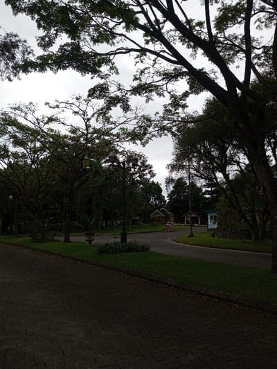 A park scene under a cloudy sky. Paved brick path leading towards a fork in the road, flanked by lush green grass and mature trees. Decorative lampposts line the path. Buildings, possibly park structures, are visible in the distance where the path splits. The overall atmosphere is serene and natural.
