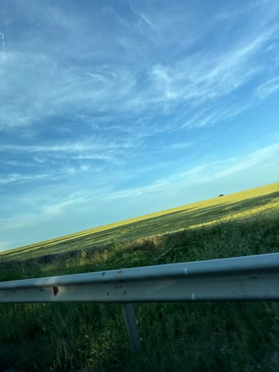 The image depicts a vast, green field on a sloping hill under a bright blue sky filled with wispy white clouds. A grey metal guardrail runs along the bottom of the frame, separating the viewer from the field. The field is illuminated by sunlight, casting long shadows across its surface. A small, dark object, possibly a lone tree or a small structure, is visible in the upper right portion of the field. The overall scene suggests an open, rural landscape.
