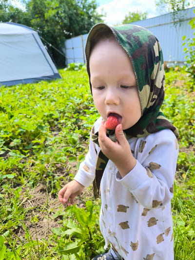 A young child wearing a white onesie with a pattern of brown teddy bears and a camouflage-patterned headscarf is in a garden, eating a strawberry. The child is holding the strawberry up to their mouth with their right hand. The background shows a white tent, a white fence, green trees, and lush green vegetation. The scene is set outdoors on a sunny day. The location is identified as Uzunovo, Russia.