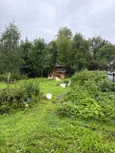 The image depicts a somewhat overgrown backyard in the village of Памяти Революции 1905 Снт, Russia. In the center of the frame, a small wooden structure, possibly a playhouse or a shed, stands elevated on stilts, with a yellow tarp visible underneath it. Surrounding the structure and extending throughout the yard is lush green vegetation, including trees, bushes, and what appears to be a strawberry patch in the foreground. Several white plastic containers are scattered across the grass, along with a blue plastic bin. The sky is overcast with gray clouds. The overall impression is of a rural or semi-rural residential setting that is a bit unkempt.