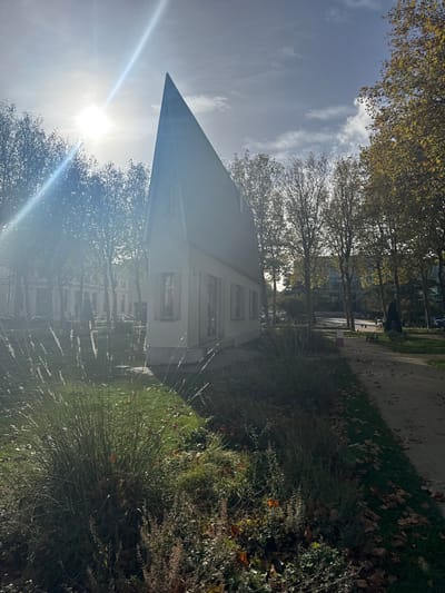 The image displays "La Cathédrale Engloutie," a distinctive narrow, house-like art installation by David Mach, located in the Jardins de l'Hôtel de Ville in Le Havre, France. The structure, centrally positioned, features a light-colored facade with several rectangular windows equipped with light-toned shutters and a steeply pitched, dark tiled roof culminating in a sharp peak, including a small dormer window.
Bright sunlight originates from the upper left, creating a prominent lens flare and casting partial shadows. The immediate foreground consists of a green lawn interspersed with clusters of tall, feathery grasses and low-lying plants showing autumnal brown and green hues. To the right of the art installation, a curving paved path, partially covered with fallen brown and yellow leaves, extends into the midground. Dark park benches are visible along this path, which is bordered by additional green spaces and deciduous trees, some with yellowing foliage.
The background on the left reveals rows of tall, sparsely foliated deciduous trees lining a boulevard, with classical-style buildings featuring columns visible beyond. On the right, modern multi-story buildings with reflective surfaces rise above the tree line in the distance. The sky is partially cloudy. No individuals are present in the scene.