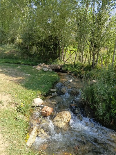This is a scenic outdoor photograph taken in the city of Kashkarona, Tajikistan. The image features a small, clear stream flowing over a bed of rocks and pebbles. Lush green grass and various types of foliage, including trees and wildflowers, line the banks of the stream. The sunlight filters through the trees, casting dappled shadows on the ground. In the background, a rustic wooden fence is visible, suggesting a rural or natural setting within the city. The overall impression is one of tranquility and natural beauty.
