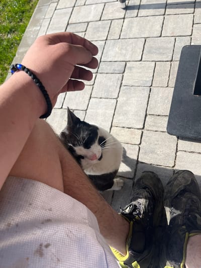 The image shows a person seated outdoors on a paved surface, with a black and white cat nestled against their leg. The person is wearing dirty black and green sneakers and a white garment (likely a t-shirt). Their arm, adorned with a black beaded bracelet containing a blue stone, is visible in the foreground. The paved surface is made of grey rectangular stones. A portion of dark object is visible next to the cat and the sneakers. There is a glimpse of green foliage at the bottom left of the frame. Although the location is said to be Starosel, Bulgaria, there are no elements in the image that permit that.