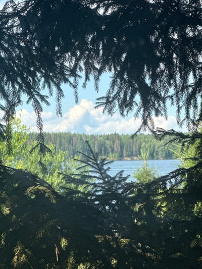 The image depicts a view through dense pine branches, framing a serene landscape. The foreground is dominated by the dark silhouettes of pine boughs and needles, creating an intimate, almost secretive portal into the scene beyond. Through this natural frame, a tranquil lake stretches out, its surface reflecting the soft blues and whites of a daytime sky filled with scattered clouds.
Beyond the lake, a lush, green forest lines the distant shore, creating a dense band of evergreen foliage. The trees appear tall and uniform, characteristic of a boreal forest. In the foreground, and interspersed within the lake's view, are lighter green deciduous trees, suggesting a mixed forest environment.
The scene is bathed in the gentle light of daytime, with the sky suggesting fair weather, perhaps a clear but not intensely sunny day. The overall mood is one of peacefulness and natural beauty, evoking a sense of stillness and immersion in the wilderness. The perspective suggests the viewer is standing at the edge of the woods, looking out towards the water and the opposite shore. There is no visible text, people, or objects in the image, emphasizing the untouched, natural quality of the setting. The orientation of the image is somewhat unusual, with the horizon appearing on the left side of the frame.