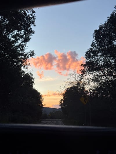 Pink-tinted clouds fill the sky, framed by silhouetted trees. A yellow sign is visible through a gap in the trees above a road fading into the distance. The warm light of sunset illuminates the scene. The perspective appears to be from within a vehicle, with a dark frame bordering the right side of the image.