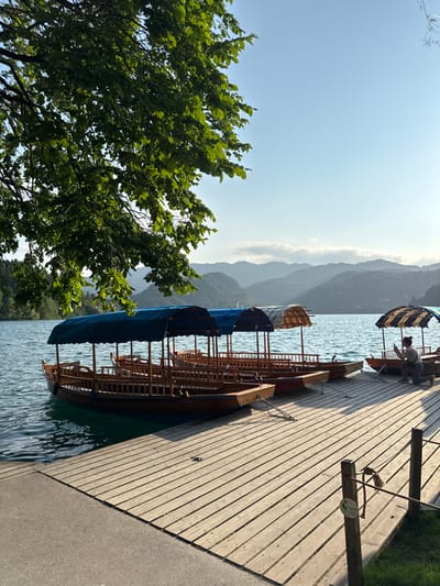 The image shows a wooden pier extending out over the calm waters of Lake Bled in Slovenia. Three traditional wooden boats, known as "pletna", are docked at the pier, their blue canopies creating shade. The boats, which are used for sightseeing tours on the lake, are connected to the pier with ropes. A single person is visible in the background, standing on a boat on the right side of the pier. The scene is illuminated by the warm glow of the setting sun, creating a picturesque ambiance. The view behind the pier is framed by the majestic Julian Alps, with lush vegetation bordering the water's edge. The coordinates provided, latitude: 46.367, longitude: 14.106, pinpoint the location of the image as the pier at Lake Bled, Slovenia.