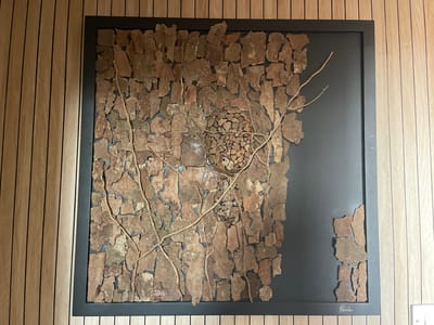 This is a framed piece of wall art, likely a sculpture or mixed-media assemblage. The artwork itself is composed primarily of pieces of bark, arranged in a textured, mosaic-like pattern against a dark background. Intertwined with the bark are thin, twig-like branches, creating a sense of organic growth or a naturalistic depiction. In the upper center of the artwork, there is a spherical cluster of smaller bark pieces, resembling a bird's nest or a seed pod. The frame is black and rectangular.

To the left and right of the artwork, the wall is covered in vertical wood paneling, with a light wood tone and darker vertical lines, suggesting a modern interior design. The lighting appears to be artificial and indirect, creating soft shadows and highlighting the textures of the artwork. There is a signature in the lower right corner of the frame, which appears to read "Poole". No people, animals, or specific events are depicted. The overall impression is one of natural elements brought indoors, arranged in an artistic composition. The location context suggests it might be in a home or public building in Portsmouth, UK.