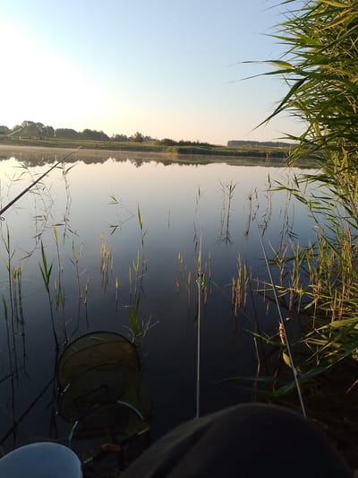 A serene, wide-angle, eye-level shot captures a calm body of water at dawn, likely a lake or pond, within the rural landscape of Свіслацкі сельскі Савет, Belarus. The water reflects the clear, pale blue sky and the distant tree line bordering the opposite bank. Reeds and grasses emerge from the water's surface, with some showing their reflections. Two fishing rods are prominently positioned in the foreground, angled towards the water, suggesting active fishing. One rod, on the left, is partially obscured by reeds, while the other, on the right, stands taller and is more visible. A collapsible fishing net is submerged in the shallow water near the bank, to the left of center. The overall lighting indicates early morning, with a soft, diffused light. The scene is quiet and still, evoking a sense of peaceful solitude.