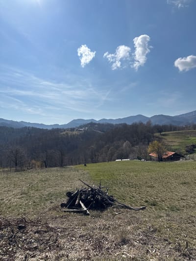 The image depicts a rural, mountainous landscape in Borinovo, Bulgaria, under a clear sky with scattered white clouds and a visible sun flare in the upper left. The foreground consists of a gently sloped field with a mix of dry, brown grass and patches of emergent green vegetation. A prominent pile of cut logs and branches is situated centrally in the foreground, with additional scattered brush and debris on the ground to its left. In the midground, to the right, a single-story building with a red-tiled roof is partially visible, surrounded by a fence and a tree with light green-yellow foliage. The background features successive layers of undulating hills and mountains, primarily covered in bare deciduous trees, with faint outlines of structures on distant slopes. No individuals or active subjects are discernible within the frame.