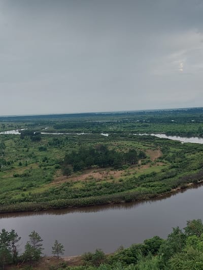 The image is a wide-angle, aerial view of a meandering river cutting through a lush, green landscape under an overcast sky. The foreground is dominated by a wide, calm river with a dark, reflective surface. On the right bank of the river, dense green trees form a thick treeline, extending up the embankment. The left bank features a sandy shore with a few scattered pine trees.
Further into the landscape, the river branches and winds through a vast expanse of greenery, characterized by a mix of trees, shrubs, and grassy areas. Islands of vegetation and sandbars are visible within the river's course. In the distance, a faint horizon line suggests a flat terrain with more scattered vegetation and what appear to be distant buildings or structures. The sky is a uniform light gray, indicating cloudy conditions with no visible sun.
While the specific location within Parunovka, Russia, is not visually identifiable from the image alone, the scene depicts a natural riverine environment typical of such a geographical region. There are no people or specific human activities visible in the frame, only the presence of a natural landscape and a river. The overall impression is one of a serene, undeveloped natural area.