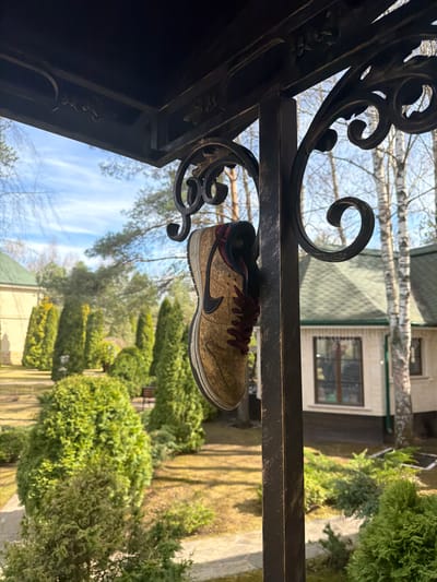 The foreground of the image features a dark, ornate metal railing, possibly wrought iron, from which a single, worn Nike Dunk sneaker hangs. The shoe, appearing to be a left shoe, is light brown with a textured, cork-like upper, a black Nike swoosh, and maroon laces and collar. Its sole shows visible dirt and wear.

In the mid-ground, a residential garden unfolds, with a light-colored house featuring dark windows visible on the right. The garden is lush with various green shrubs and meticulously trimmed hedges, some conical in shape. Several bare-branched deciduous trees, possibly birches, are also present, suggesting early spring or late autumn. The upper portion of the image is dominated by a clear, light blue sky with faint white clouds.

The scene is set during daytime, likely morning or afternoon, with fair weather conditions, in a suburban or semi-rural area of Shchelkovo, Russia. No people are visible, and the only discernible text is the Nike swoosh on the shoe.