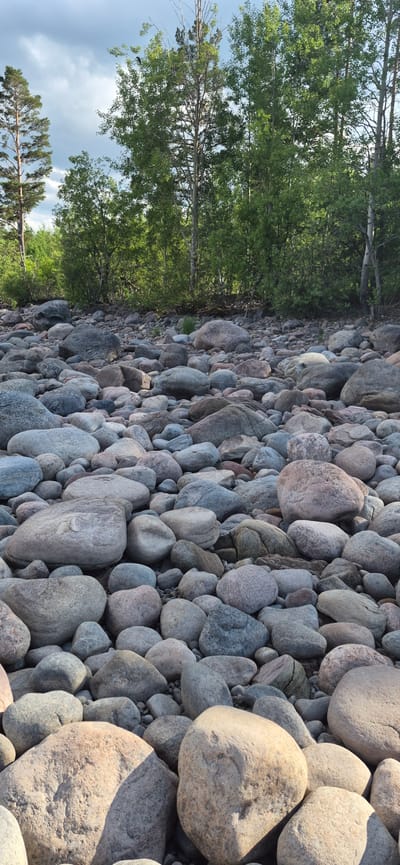 The image depicts a rocky shoreline with lush green trees in the background. The foreground is dominated by a dense collection of smooth, rounded stones of various sizes, ranging from small pebbles to large boulders. The stones are predominantly gray and beige, with some appearing to have a bluish or pinkish hue. Sunlight casts shadows across the rocks, indicating it is daytime. In the background, a dense forest of deciduous trees with vibrant green leaves forms a natural barrier. The sky above is partly cloudy with a muted blue hue. There are no people or animals visible in the scene. The location is identified as the city of Моторное, Russia, suggesting this is a natural landscape feature within or near the city.