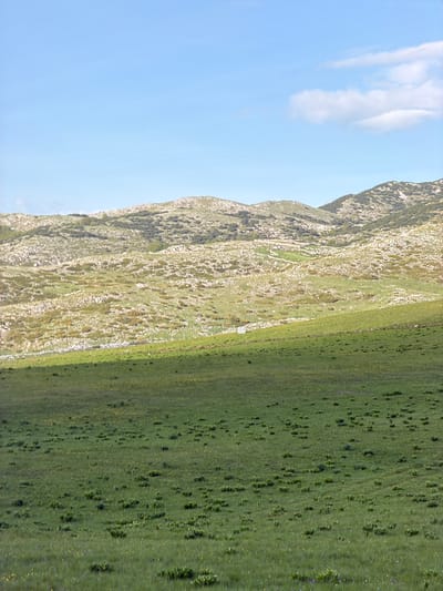 The image shows a mountain landscape in Pišče, Montenegro. The scene depicts a rocky mountainside transitioning into a grassy plain. Patches of vegetation dot the mountain, while the plain is covered in green grass with clusters of darker green vegetation scattered across it. The sky is a light blue color with a few white clouds in the upper left corner.