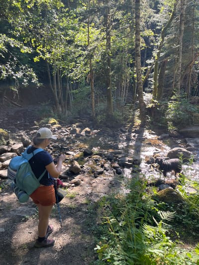 A woman, wearing a light-colored baseball cap, a dark blue t-shirt, and orange shorts, stands on a dirt path next to a shallow, rocky stream. She has a light blue backpack with striped detailing on her back and is holding a trekking pole in her right hand and a mobile phone in her left. A black and white dog is partially submerged in the stream to the right of the woman, appearing to be drinking or playing. The environment is a forest with tall trees, dappled sunlight filtering through the leaves, and lush green undergrowth. The stream bed is composed of various-sized rocks and pebbles. The scene depicts a moment of rest or observation during an outdoor excursion. The location is identified as Gumières, France.