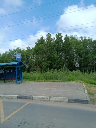 The image shows a bus stop with a blue shelter and red benches, located in a rural or suburban area with a dense line of green trees in the background. The sky is blue with scattered white clouds. There are power lines visible across the sky. The bus stop itself has a blue roof and frame, with graffiti on the back wall. A trash bag is visible inside the shelter. The ground in front of the bus stop is paved, and a curb separates it from the road, which has a yellow line painted on it. The overall environment suggests a quiet, somewhat neglected location. The location is identified as Тополиный, Russia.