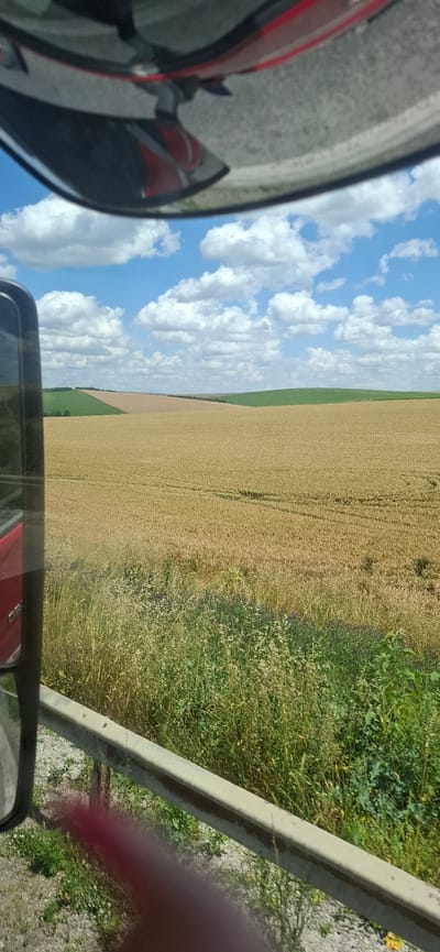 The image shows a rural landscape viewed from inside a vehicle, likely a car or truck, as indicated by the side mirror and part of the vehicle's red bodywork. The scene is oriented vertically, suggesting the photo was taken while moving.
The dominant subject is a vast field of golden crops, likely wheat or barley, stretching across the frame. To the left of the field, a bright blue sky filled with fluffy white clouds is visible. The contrast between the golden field and the blue sky suggests a sunny day. Adjacent to the crop field, on the right side of the image, is a strip of vibrant green vegetation, appearing to be wild grasses and possibly some flowering plants.
In the foreground, a side mirror reflects the red vehicle, the sky, and clouds, providing a distorted yet recognizable glimpse of the immediate surroundings. Part of the road, appearing to be gravel or dirt, is visible next to the grassy verge. A metal barrier, possibly a guardrail, runs along the edge of the road, separating it from the vegetation. In the far right of the image, a blurred pinkish-red shape appears, potentially a person's hand or finger, partially obscuring the view.
The overall impression is one of a clear, bright day in a rural agricultural setting, likely during the harvest season given the appearance of the crops. The time of day appears to be daytime, judging by the bright sunlight and clear blue sky. The location is contextualized as Kozar Belene, Bulgaria. No discernible text is present in the image.