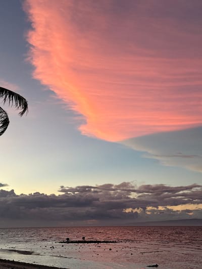 This image depicts a coastal scene in Siquijor, Philippines, during either sunrise or sunset. The upper sky is dominated by a vast, horizontally extended cloud formation exhibiting vivid pink and orange hues, sharply delineated against a pale blue-grey sky segment below. Further down, a dense layer of dark grey cumuliform clouds stretches across the horizon, partially obscuring a distant, faint landmass.
The lower half of the frame features a body of water, likely the sea, reflecting the sky's colors with a reddish-brown tint, showing gentle surface ripples. The immediate foreground reveals a rocky intertidal zone, indicating a low tide, with numerous dark rocks and pebbles scattered across the wet, sandy ground. Two human figures are observed in the shallow water near a dark, elongated rocky structure. Both individuals are silhouetted and bent at the waist, engaged in an unidentifiable activity, possibly foraging or collecting. A partial view of a dark palm frond is visible in the upper left corner, silhouetted against the colored sky.