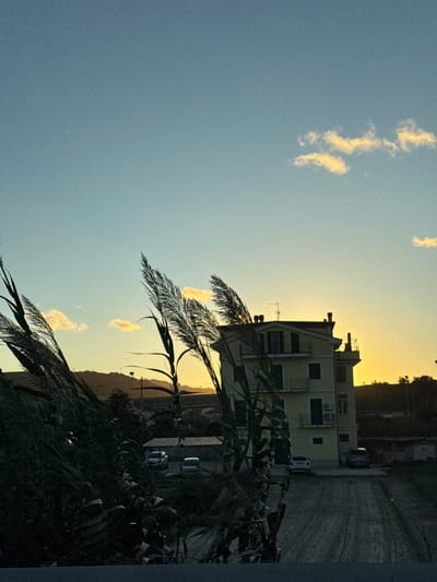 The image captures an outdoor scene at sunset in Cupra Marittima, Italy. The sky transitions from a light blue at the zenith to a golden hue on the horizon, where the setting sun casts a strong, low-angle light. Several scattered, small cumulus clouds are present, illuminated with golden edges.

In the immediate foreground, dark-silhouetted reedy plants, consistent with *Arundo donax* (giant reed), are prominent, occupying the lower-left and central portions of the frame and appearing to sway. These reeds partially obscure the middle ground.

To the right of the frame, a four-story, pale yellow residential building is visible. It features multiple dark-framed windows, balconies on its upper floors, and a flat roof equipped with a satellite dish and vents. Air conditioning units are visible on its exterior.

In the middle ground, an unpaved dirt road or path extends from the lower-right corner, leading towards and past the building. Four vehicles are parked: a white SUV, a silver SUV, and a white van are visible on the left side of the building, partially behind the foreground reeds. A dark-colored car is parked on the right, closer to the building's facade. A low, single-story structure with a darker roof is partially visible behind the left-most parked vehicles.

Distant, dark-silhouetted hills or mountains are visible on the left horizon, meeting the bright golden light of the sunset. No human figures or discernible activities are present. The scene depicts a semi-residential or rural-fringe area, likely on the outskirts of Cupra Marittima.