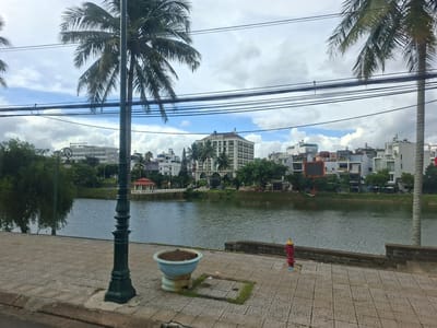 The image shows a waterfront scene in the city of B'Lao, Vietnam, likely during the daytime under a cloudy sky. In the foreground, a paved walkway with a decorative tile pattern runs along the edge of a body of water. A dark green ornate lamppost stands prominently on the walkway, accompanied by a light blue planter filled with soil. Further along the walkway, a red fire hydrant with a yellow top is visible. The water of the lake or river is calm and reflects the sky and surrounding buildings. Across the water, a line of buildings, including hotels and residential structures, are situated along the opposite bank, interspersed with trees and vegetation. Two large palm trees frame the scene from the right and left sides, with their fronds reaching towards the sky, partially obscured by a complex network of overhead wires. The buildings vary in architectural style, with some appearing to be modern hotels with multiple stories and balconies, while others are lower-rise structures. The overall impression is one of an urban waterfront area with a mix of natural and built environments. There are no people visible in the scene.