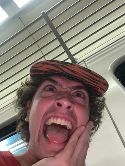 A close-up, angled shot features a person wearing a tiger-striped hat. They're pulling a grotesque expression with wide eyes, an open mouth displaying teeth and tongue, and their hand touching their cheek. The background consists of parallel lines, possibly blinds, and a white surface with rounded edges. The lighting is bright, casting shadows that accentuate the odd angle and facial expression.