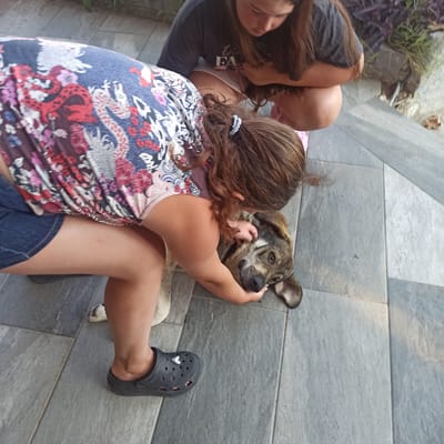 Two young females are interacting with a dog on a tiled outdoor surface. The female on the left is wearing a colorful patterned shirt and denim shorts, and is kneeling, petting the dog's head. The female on the right is wearing a dark t-shirt and light-colored shorts, and is also crouching, looking down at the dog. The dog, a medium-sized mixed breed with brown and gray fur, is lying down and looking towards the camera. The environment appears to be a patio or walkway with gray rectangular tiles. In the background, there are some blurred plants. The image quality suggests it was taken with a mobile phone.