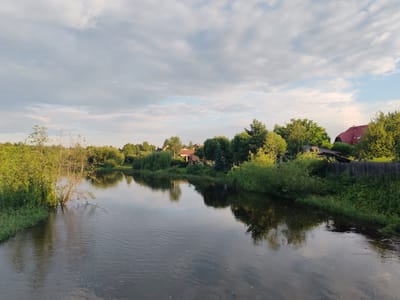 The image depicts a tranquil river scene in Kashino, Russia, likely during late afternoon or early evening, as indicated by the soft, warm light and the presence of long shadows. The sky is partially cloudy, with a mix of grey and blue hues, suggesting fair weather.
The river itself is the central subject, its surface reflecting the surrounding greenery and the sky. Gentle ripples suggest a light current. The banks are lush with vegetation, including dense bushes and trees. On the left bank, a solitary tree stands partially submerged in the water, its branches bare. On the right bank, more mature trees and bushes line the water's edge.
In the background, nestled amongst the trees, are several houses with red tiled roofs. The architecture suggests a rural or semi-rural setting. A wooden fence is also visible along the right bank, separating the vegetation from what might be a property. The overall atmosphere is peaceful and serene, evoking a sense of calm and natural beauty. There is no visible text in the image.