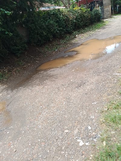 This image depicts an unpaved road in Olkeri ward, Kenya, characterized by a gravel and dirt surface. A prominent feature is a large, irregularly shaped puddle of muddy, brown water located centrally on the road, with smaller puddles also present. Reflections of the sky are faintly visible on the water's surface in the larger puddle. To the immediate left of the road, a dense, overgrown hedge or line of bushes with dark green foliage extends along an elevated bank. Behind this vegetation, a building with a reddish-brown roof is partially visible. Further in the background, towards the upper right, a grey concrete or stone pillar stands, possibly part of a gate or fence, with additional reddish-brown structures visible beyond it. The right edge of the frame shows a strip of green grass bordering the road. No individuals, animals, or active events are discernible within the scene.