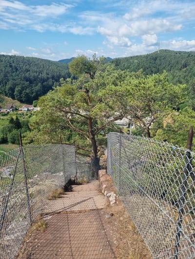 The image depicts a view looking down a set of concrete stairs bordered by chain-link fencing on both sides. The stairs are weathered and show signs of grass growing between the cracks. Beyond the fence, a dense forest covers rolling hills. In the distance, several houses with red-tiled roofs are visible nestled in a valley. The sky is blue with scattered white clouds. A prominent pine tree with sprawling branches stands to the right of the stairs, partially obscuring the view of the houses and forest. The scene appears to be from a scenic overlook or a trail leading down from an elevated position.