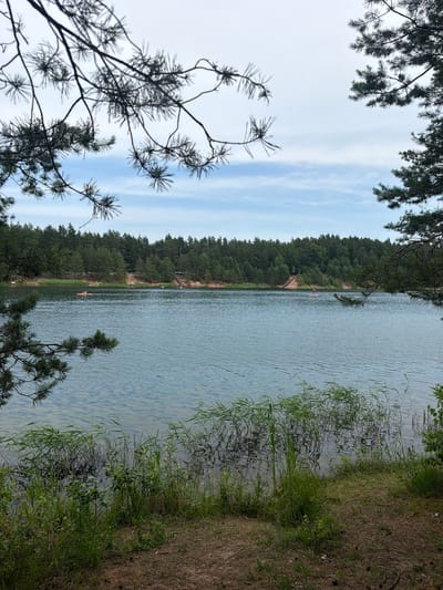 The image depicts a serene lake scene on a cloudy day, framed by pine branches in the foreground. The lake's surface is rippled, reflecting the overcast sky. Along the far shore, a dense forest of pine trees forms a dark green line against the lighter sky. The ground in the immediate foreground is a mix of dry pine needles and some sparse green vegetation.

In the middle ground, several individuals are visible enjoying the water. On the left side of the lake, near the shore, two people are swimming. Further into the lake, a person is seated on an orange inflatable object. Towards the right, a single person is standing on a paddleboard. The shoreline on the far side appears to be a sandy bank interspersed with trees and some wooden steps leading down to the water, suggesting a recreational area. The overall atmosphere is peaceful and natural.