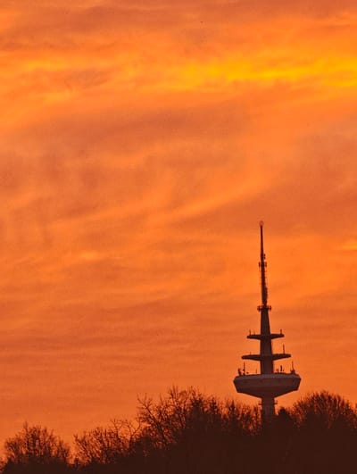 The image displays the Schuby Telecommunication Tower in Schuby, Germany, silhouetted against a sky exhibiting intense orange and yellow hues, indicative of either sunrise or sunset. The upper two-thirds of the vertical frame consist of the sky, featuring diffuse cloud formations varying in brightness, with brighter yellow tones appearing towards the upper left. The telecommunication tower, a prominent man-made structure, is positioned in the right half of the lower frame, appearing as a dark silhouette. Its design features a wide, multi-level platform structure at its base, tapering into a slender mast equipped with multiple antennae arrays. The lower fifth of the image is occupied by the dark, silhouetted crowns of numerous trees, displaying bare branches, which obscure the base of the tower and extend across the foreground. No human figures, animals, or discernible activities are present in the scene.