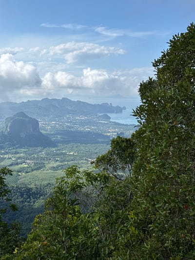 The image is a landscape photograph taken from a high vantage point, looking out over a scenic vista in Ban Din Daeng Nui, Thailand. In the foreground, dense green foliage of trees partially obscures the view, with their leaves and branches filling the right and bottom portions of the frame. Beyond the foliage, a sprawling town or city is visible in the middle ground, nestled among rolling green hills. The architecture of the town appears to be a mix of buildings with red and beige rooftops. Further in the distance, a body of water, likely the Andaman Sea, stretches towards the horizon, dotted with distinctive limestone karsts, a signature geological feature of the region. The sea is a calm blue, meeting the hazy sky at the horizon line. The sky above is a pale blue, with scattered white clouds, some appearing fluffy and others more wispy. The overall impression is a panoramic view of a tropical coastal town, characterized by lush vegetation, mountainous terrain, and a tranquil sea under a partly cloudy sky.