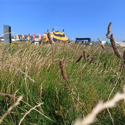 A low-angle, eye-level shot captures a sun-drenched field of tall, dry grasses and green blades in the foreground, with a bright blue sky dominating the upper portion of the frame. In the mid-ground, a large, black and yellow striped tent, possibly a circus tent, is visible with a stage structure behind it. A line of colorful flags, red, yellow, pink, and blue, are strung out to the left of the tent, interspersed with buildings. A tall, dark, rectangular structure stands to the far left, with the hint of a coastal town or festival site in the distance. The image appears to be taken in Ballybunnion, Ireland, judging by the context provided.