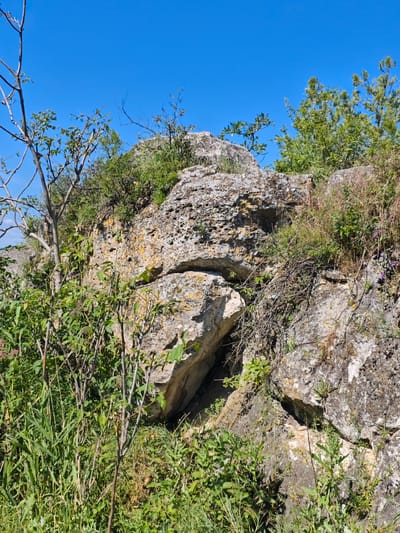 The image shows a rocky outcrop with sparse vegetation under a clear blue sky. The rocks are rough and textured, with some patches of yellow and orange lichen. Green plants, including grasses and small bushes, grow around and on top of the rocks. A few bare branches of a tree are visible on the left side of the frame. The scene appears to be in a natural, undeveloped area. The provided context mentions the city of Goryachevodsky, Russia, suggesting the location is within or near this city. There are no people or visible structures in the image.