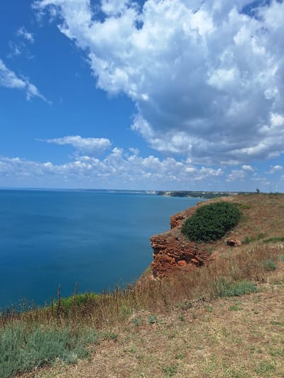 The image captures a picturesque view of the coastline near Balgarevo, Bulgaria, on a bright, clear day. The foreground is dominated by a grassy cliffside, with dry, sun-baked vegetation interspersed with patches of greener, low-lying shrubs. A prominent cluster of lush green foliage stands out on the cliff.
Below the cliff, the deep blue sea stretches out to the horizon, its surface calm with subtle ripples. In the distance, the coastline is visible, a pale strip against the blue expanse, with hints of low-lying vegetation and buildings. The sky above is a vibrant blue, adorned with dramatic white and grey clouds that create a sense of depth and movement. Further inland, several wind turbines can be observed on the distant horizon, indicating the presence of a wind farm. The overall scene conveys a sense of natural beauty and serenity, characteristic of the Bulgarian Black Sea coast.