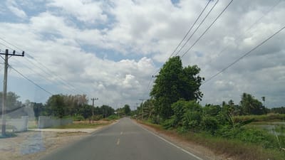 A paved road curves through a rural landscape under a cloudy sky. The road has a yellow dashed line marking the center. Power lines stretch across the sky, supported by wooden poles. Lush green vegetation, including trees and bushes, lines both sides of the road. In the distance, there are more trees and some buildings. On the left side of the road, there are white fences and concrete structures. On the right side, there appears to be a body of water, possibly a rice paddy. The scene is consistent with the rural outskirts of Payarabo Timu, Indonesia. There are no people visible in the image.