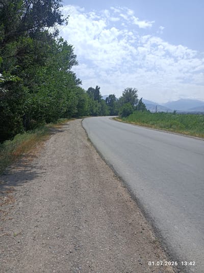 The image depicts a winding asphalt road bordered by a gravel shoulder on the left and a lush green field on the right. Tall trees line the left side of the road, casting shadows on the gravel path. In the distance, a vast expanse of green fields stretches towards a range of majestic mountains under a partly cloudy sky. A lone utility pole is visible in the middle distance. The scene conveys a sense of peaceful rural tranquility on a clear day. The time stamp at the bottom right corner indicates the image was taken on July 1, 2026, at 13:42, suggesting it is midday. The location is identified as Chüy, Kyrgyzstan.