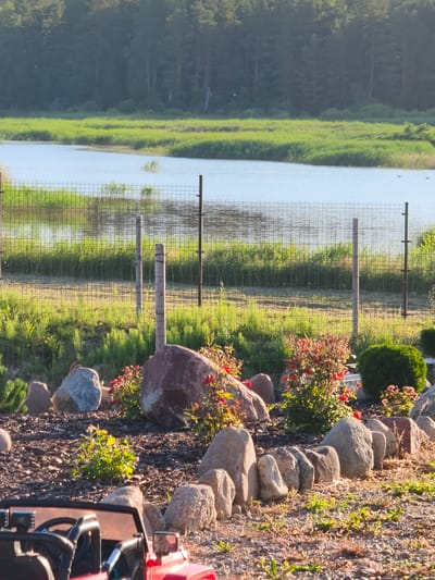 The image depicts a serene natural landscape in Apriķi, Latvia, featuring a tranquil body of water bordered by lush green vegetation and a dense forest in the background. The foreground is adorned with a meticulously arranged collection of large, smooth rocks and flowering bushes, creating a visually appealing garden setting. A wire fence separates the garden from the natural area, suggesting a boundary between cultivated and wild spaces. The scene is bathed in the warm, golden light of what appears to be late afternoon or early morning, casting long shadows and highlighting the textures of the rocks and foliage. The presence of a red toy vehicle in the lower left corner hints at recent human activity or recreational use of the area, possibly by children. The overall impression is one of peaceful coexistence between human elements and the natural environment.