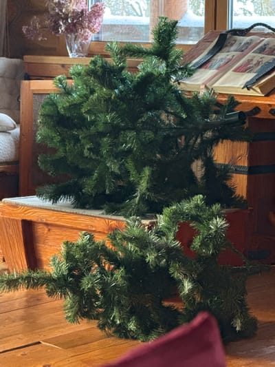 Two artificial Christmas tree sections lean against wooden surfaces. One is adjacent to a window with a wintry view and a vase of dried hydrangeas. The branches of both sections are dense and green. The wooden surfaces include a chest and a side table. A partially visible, maroon-colored pillow sits on the far right.