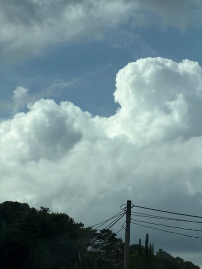 The image displays an expansive outdoor scene dominated by a dynamic sky. The upper two-thirds of the frame are filled with a mix of light blue sky and voluminous clouds. These clouds vary significantly in tone, ranging from bright white where sunlight illuminates their edges to darker shades of gray and shadow, indicating their substantial depth and density. Patches of clear, light blue sky are visible in various areas, particularly on the left side.

In the lower right section, a sturdy utility pole, possibly made of concrete or wood, stands vertically, extending upwards. Multiple dark electrical wires are strung from the pole, stretching horizontally across the frame against the backdrop of the sky and clouds. Below the pole and along the right edge, a dense mass of dark green foliage and trees forms a natural boundary, appearing almost silhouetted against the brighter sky. Taller, slender tree forms, possibly palm trees, can be faintly discerned behind the utility pole and wires.

The scene depicts daytime conditions, characterized by a blend of sunshine and significant cloud cover, suggesting either an approaching weather change or simply a majestic cloud formation. There are no people visible, and no specific activity or event is taking place. The presence of the utility pole and the lush, tropical-looking vegetation provides context for the location, aligning with the provided information that the image was taken in Măng Đen, Vietnam. No text is visible in the image.