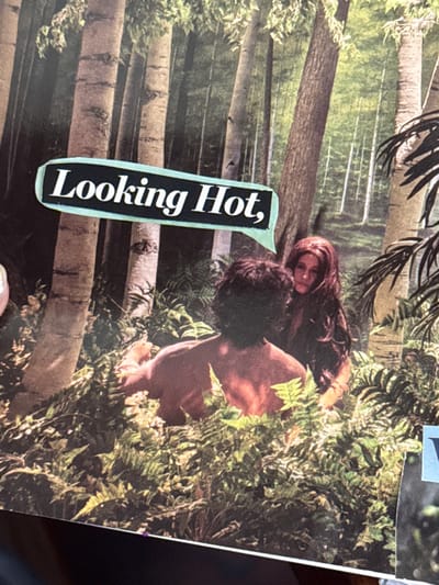 The collage features a couple in an outdoorsy setting. One person, with long hair, is reclining, while another is kneeling or bent over, partially obscured by ferns. The backdrop includes a forest of birch trees, with dappled light filtering through the leaves. A speech bubble containing the text "Looking Hot," is positioned to the left of the couple, adding a humorous or suggestive element to the scene.