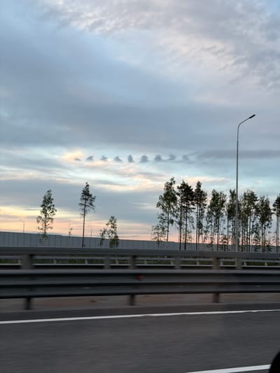 The image, presented in a portrait orientation (rotated 90 degrees clockwise from its likely intended landscape view), captures a tranquil highway scene at either sunrise or sunset.

When viewed in its intended landscape orientation (rotated 90 degrees counter-clockwise), the right side of the frame features a grey asphalt road with a clear white lane marking. A tall, grey sound barrier or guardrail runs horizontally across the lower middle of the frame, parallel to the road, creating a separation.

Behind this barrier, a dense line of trees, including both broad-leaved and coniferous species, stretches horizontally across the mid-ground. A single, tall streetlight with a curved arm extends upwards from behind these trees on the left side of the scene.

The expansive sky dominates the upper and left portions of the image, displaying soft pastel hues of blue, pink, and orange, characteristic of dawn or dusk. Scattered clouds are visible, with a particularly striking formation of approximately ten distinct, wave-like clouds (possibly Kelvin-Helmholtz or lenticular clouds) arranged in a neat, horizontal line across the upper-left quadrant of the sky.

The overall impression is one of serene travel, likely captured from a moving vehicle, given the slight blur on the road and barrier. There is no visible text in the image. The setting suggests a highway in a natural or semi-natural environment, consistent with the provided location context of Levashovo, Russia.