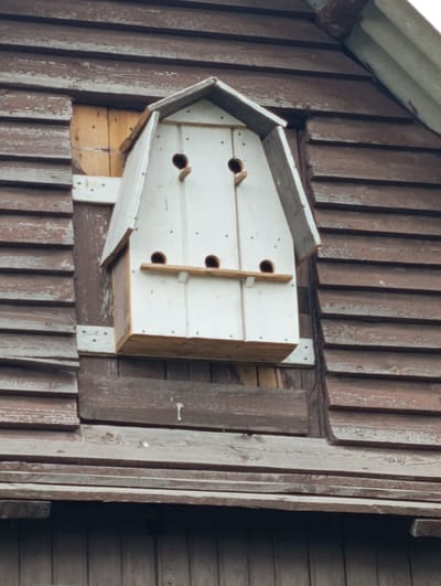 The image shows a white, multi-compartment birdhouse attached to a weathered wooden wall. The birdhouse has a peaked roof and several circular openings, each with a perch. The wall is constructed of horizontal wooden planks, some of which are dark brown and appear aged, while others are lighter wood, possibly newer repairs or exposed areas. There are also some lighter-colored wooden elements visible behind the birdhouse, suggesting it is mounted in an opening or on a structure with an interior. The overall scene conveys a rustic and utilitarian aesthetic. The image does not contain any discernible geographical markers that would allow for identification of its location in Bialynichy, Belarus.