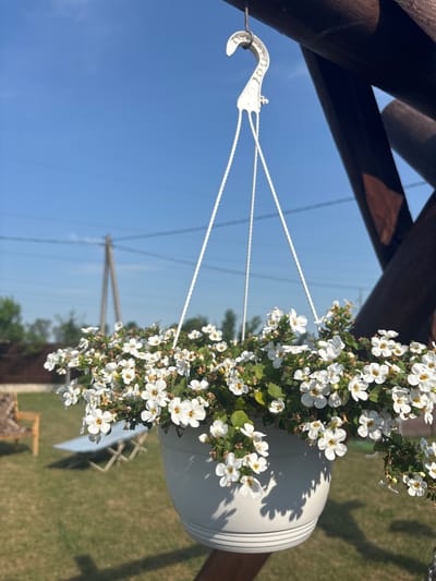 A white hanging planter filled with small white flowers is suspended from a wooden structure under a bright blue sky. The planter has a ribbed texture and is attached to a white plastic hook by white ropes. In the background, out-of-focus, is a grassy yard with a picnic table and a chair. Electrical wires and a utility pole are visible against the sky. The image appears to be taken outdoors on a sunny day.