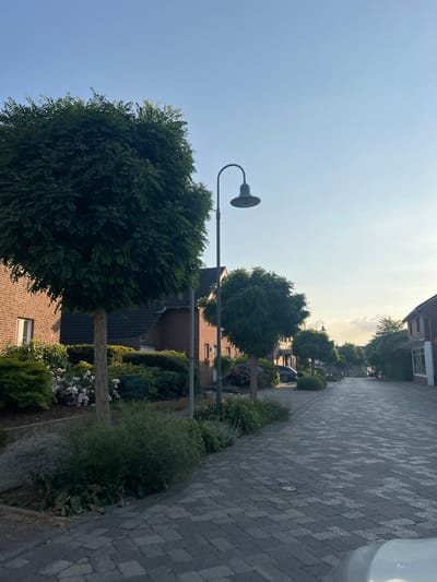 This media file depicts a suburban street scene in Wassenberg, Germany, bathed in the soft, warm light of a late afternoon or early evening. The orientation of the image is vertical.
The scene is dominated by a paved sidewalk or driveway on the right, composed of dark gray interlocking pavers laid in a repeating diamond pattern. To the left of the paving, a well-maintained garden area stretches along the side of a residential street. This garden features lush green trees, including a large, mature tree in the foreground with dense foliage, and smaller, neatly trimmed bushes. Some flowering plants with light pink blossoms are also visible.
Beyond the garden, brick houses with dark tiled roofs line the street. The architecture suggests a typical European residential area. A street lamp with a classic design stands tall in the middle ground, its dark grey head angled downwards. The sky above is a clear, pale blue, transitioning to a brighter, hazy white towards the horizon, indicative of the setting sun. The overall atmosphere is peaceful and serene, suggesting a quiet residential neighborhood. There is no visible text in the image.
