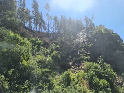 This image depicts a steep, tree-covered mountainside under a bright, clear blue sky. The vegetation is dense in the foreground, with lush green bushes and trees. As the view ascends the slope, the trees become sparser, and evidence of deforestation or storm damage is apparent, with many fallen trees and exposed earth visible on the upper parts of the mountain. In the distance, a rock face is visible, partially covered by vegetation. There is a protective netting system installed on the upper slope, likely to prevent rockfalls or debris. The scene suggests a natural environment, possibly a hiking trail or a roadside view in a mountainous region. The location is identified as Wildbad Einöd, Austria. There are no people or animals visible in the image.