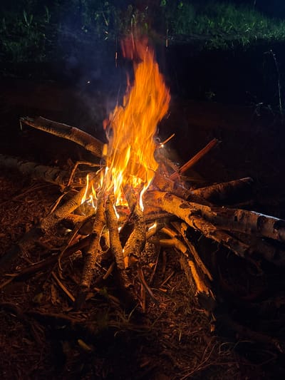 A bonfire burns intensely in Krasnyi Jar, Russia, casting a vibrant orange and yellow glow. The fire consumes a pile of birch logs and smaller branches, arranged in a teepee structure. Smoke rises from the burning wood. Surrounding the fire is dark vegetation and foliage. The scene appears to be taken at night, with minimal ambient light.