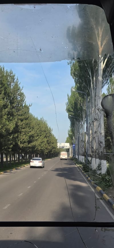 A view from inside a vehicle shows a paved road in the city of Mramornoye, Kyrgyzstan. The road is lined with trees on both sides, with tall, slender trees with white bark on the right and a dense row of coniferous trees on the left. A white sedan is driving in the left lane, and a white bus with a license plate that reads "13 23 BC" is in the right lane, further down the road. The sky is blue with some clouds. The vehicle's windshield has several prominent cracks and is dirty, obscuring parts of the view. A black bar runs horizontally across the bottom of the image, likely part of the vehicle's interior. The scene appears to be during the daytime, with sunlight casting shadows on the road.
